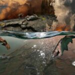 Global warming and sixth extinction