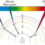 Bohr Atomic Model Description
