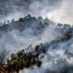 Climate change and wildfire