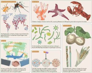 One of the effects of climate change is the intensification of the effect of pathogens