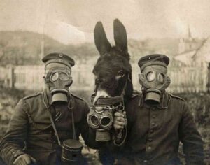 Two soldiers in World War I wearing masks with their quadrupeds waiting for a chemical attack.