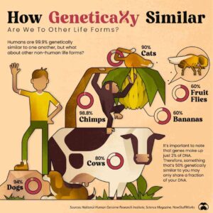 The percentage of similarity of the human genome with other living organisms