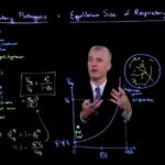 Image related to the course "Physics of Covid-19 Transmission" at MIT University