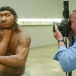 A Neanderthal