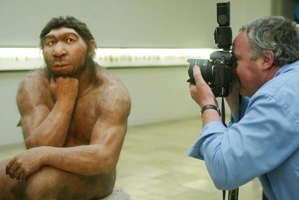 A Neanderthal