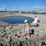 Dryness of the Rhine River during the 2018 European heat wave