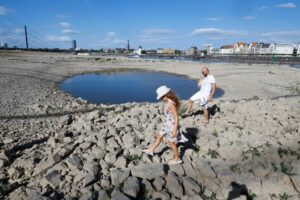 Dryness of the Rhine River during the 2018 European heat wave