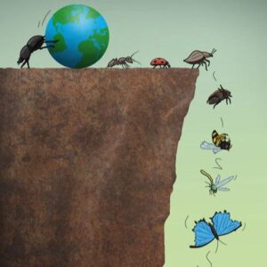 Insects extinction due to climate change