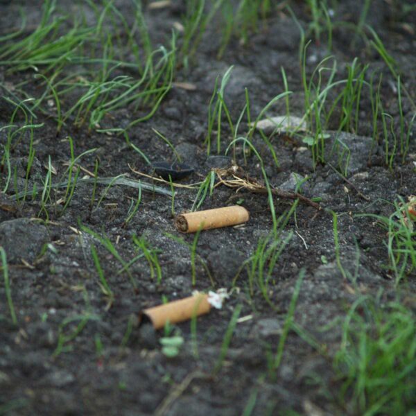 environmental-issues-due-to-cigarette-filters