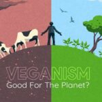 Veganism and Environment