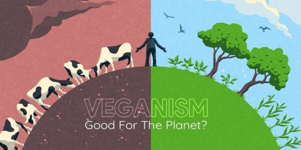 Veganism and Environment