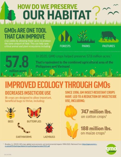 The effects of using genetically modified products in the agricultural sector