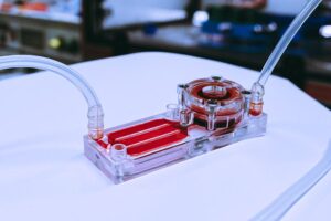 A tracheal organ Organ on a chip