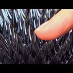 A rheomagnetic fluid exposed to a magnetic field