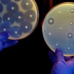 Antibiotic resistant bacteria
