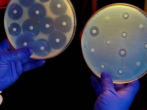 Antibiotic resistant bacteria