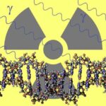 Radiation effects on body