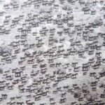 تصویر مربوط به دسته فسل ها دههی ۱۹۵۰ میلادی