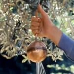 آبدزدک یا water thief