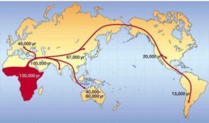همهی ما فرزندان آفریقا هستیم.
