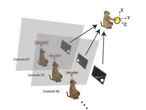 موازی سازی مغزها