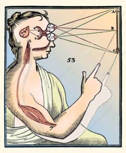 تصویر از رساله انسان اثر رنه دکارت