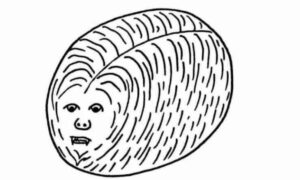 تئوری توپ پرمو